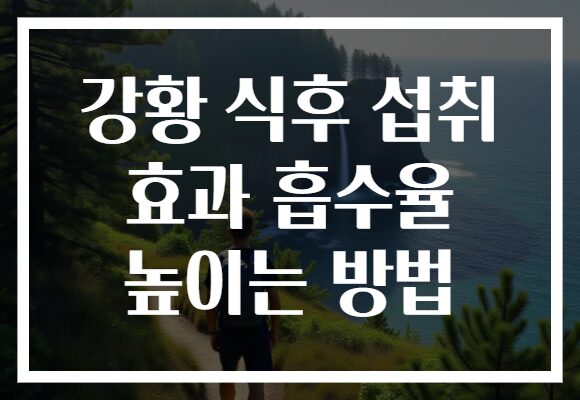 강황 식후 섭취 효과 흡수율 높이는 방법