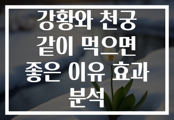 강황와 천궁 같이 먹으면 좋은 이유 효과 분석