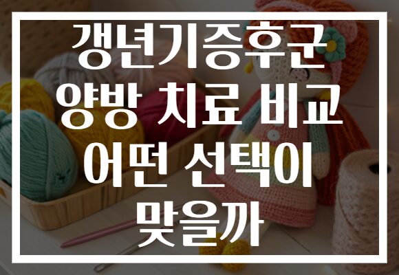 갱년기증후군 양방 치료 비교 어떤 선택이 맞을까