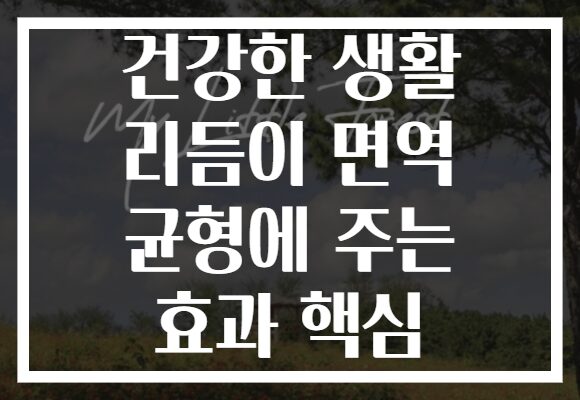 건강한 생활 리듬이 면역 균형에 주는 효과 핵심
