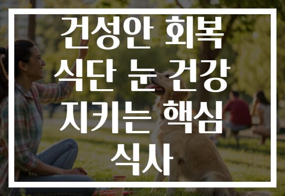 건성안 회복 식단 눈 건강 지키는 핵심 식사