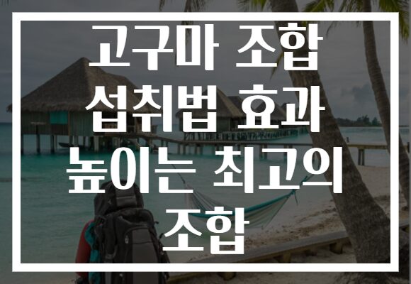 고구마 조합 섭취법 효과 높이는 최고의 조합
