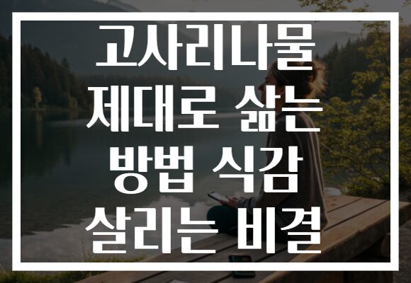 고사리나물 제대로 삶는 방법 식감 살리는 비결
