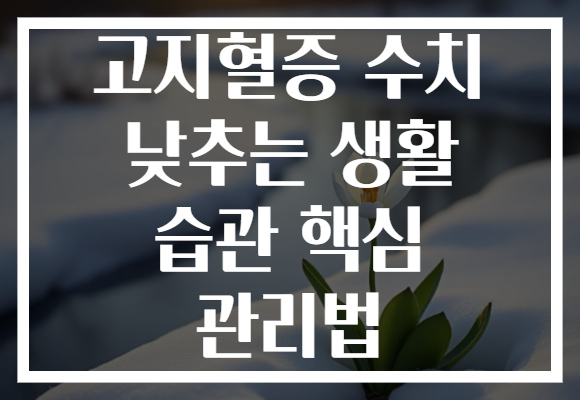 고지혈증 수치 낮추는 생활 습관 핵심 관리법
