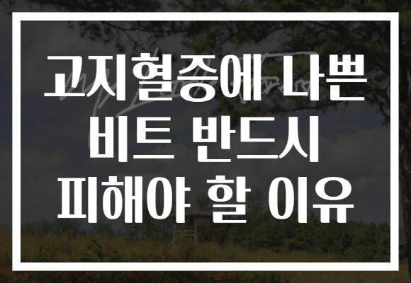 고지혈증에 나쁜 비트 반드시 피해야 할 이유