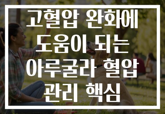 고혈압 완화에 도움이 되는 아루굴라 혈압 관리 핵심