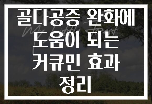 골다공증 완화에 도움이 되는 커큐민 효과 정리