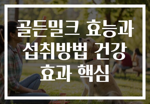 골든밀크 효능과 섭취방법 건강 효과 핵심