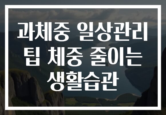 과체중 일상관리 팁 체중 줄이는 생활습관