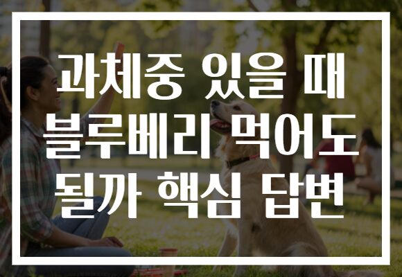 과체중 있을 때 블루베리 먹어도 될까 핵심 답변