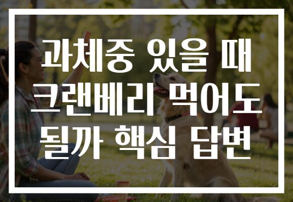 과체중 있을 때 크랜베리 먹어도 될까 핵심 답변