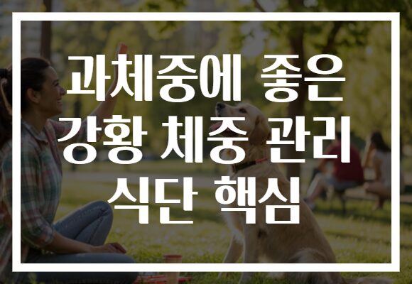 과체중에 좋은 강황 체중 관리 식단 핵심