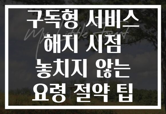 구독형 서비스 해지 시점 놓치지 않는 요령 절약 팁