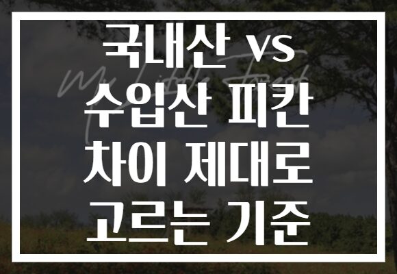 국내산 vs 수입산 피칸 차이 제대로 고르는 기준