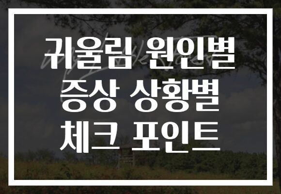 귀울림 원인별 증상 상황별 체크 포인트