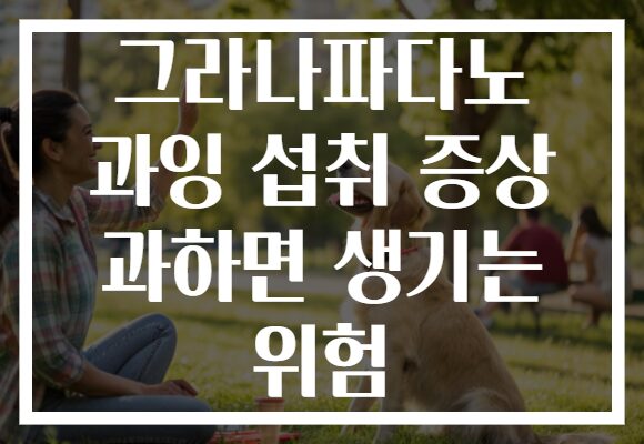 그라나파다노 과잉 섭취 증상 과하면 생기는 위험