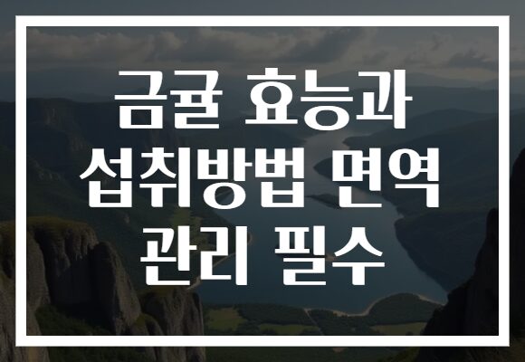 금귤 효능과 섭취방법 면역 관리 필수
