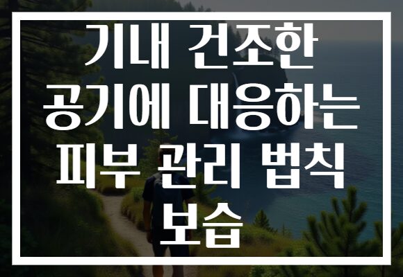 기내 건조한 공기에 대응하는 피부 관리 법칙 보습