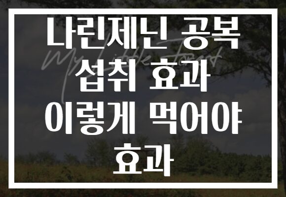 나린제닌 공복 섭취 효과 이렇게 먹어야 효과