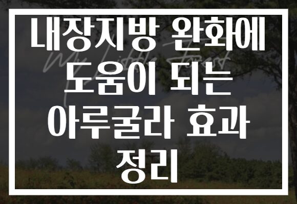 내장지방 완화에 도움이 되는 아루굴라 효과 정리