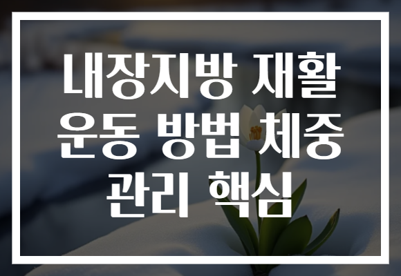 내장지방 재활 운동 방법 체중 관리 핵심