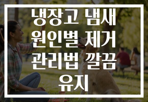 냉장고 냄새 원인별 제거 관리법 깔끔 유지
