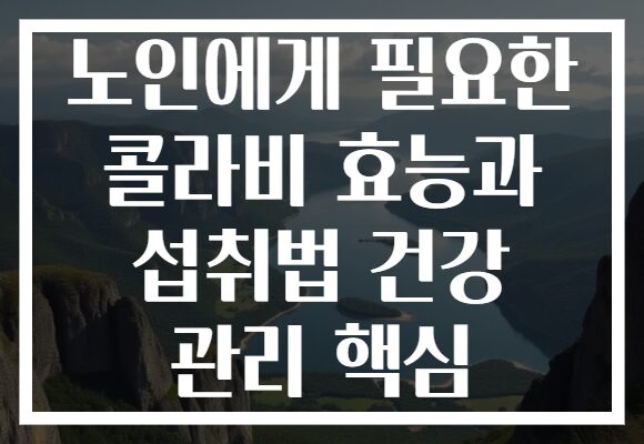 노인에게 필요한 콜라비 효능과 섭취법 건강 관리 핵심