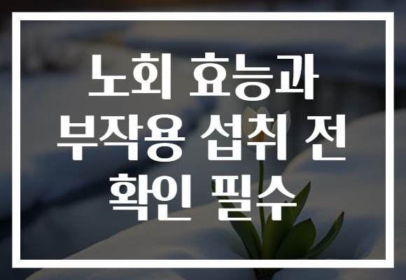 노회 효능과 부작용 섭취 전 확인 필수