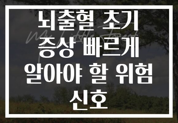 뇌출혈 초기 증상 빠르게 알아야 할 위험 신호