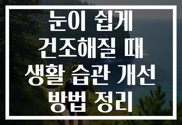 눈이 쉽게 건조해질 때 생활 습관 개선 방법 정리