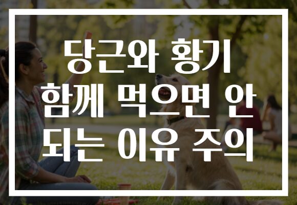 당근와 황기 함께 먹으면 안 되는 이유 주의