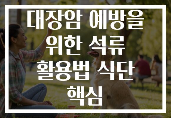 대장암 예방을 위한 석류 활용법 식단 핵심