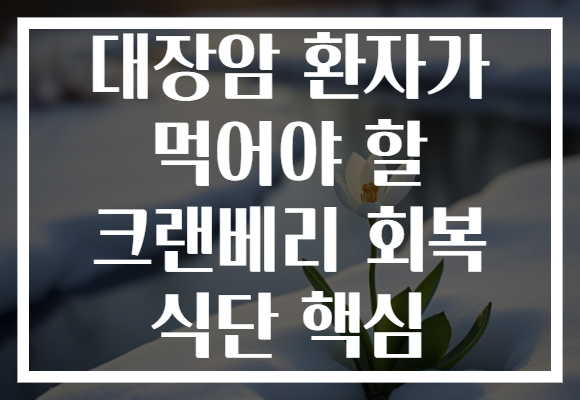 대장암 환자가 먹어야 할 크랜베리 회복 식단 핵심