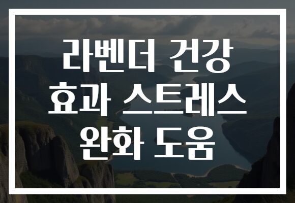 라벤더 건강 효과 스트레스 완화 도움