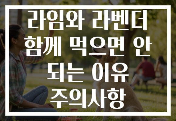 라임와 라벤더 함께 먹으면 안 되는 이유 주의사항