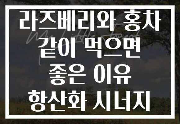라즈베리와 홍차 같이 먹으면 좋은 이유 항산화 시너지