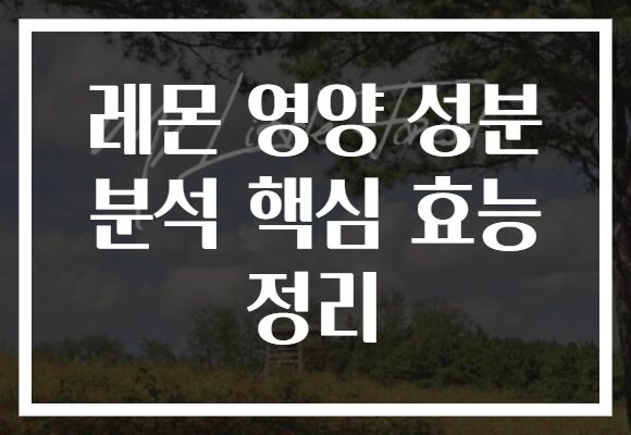레몬 영양 성분 분석 핵심 효능 정리