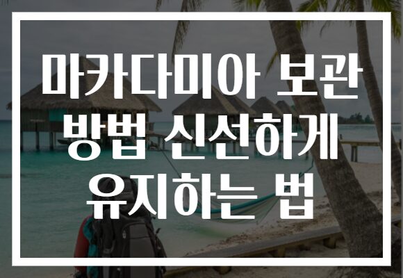 마카다미아 보관 방법 신선하게 유지하는 법