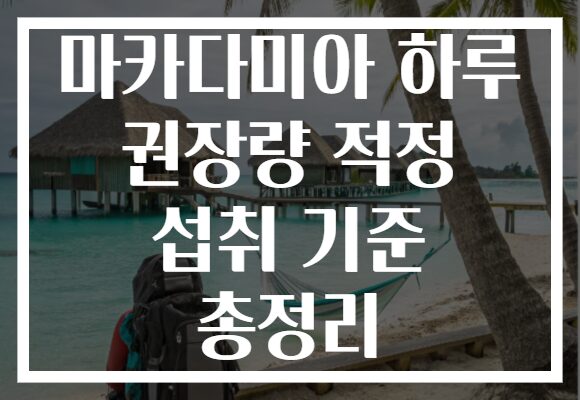 마카다미아 하루 권장량 적정 섭취 기준 총정리