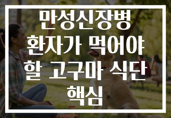 만성신장병 환자가 먹어야 할 고구마 식단 핵심
