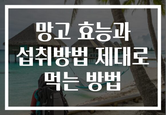 망고 효능과 섭취방법 제대로 먹는 방법