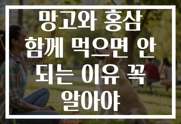 망고와 홍삼 함께 먹으면 안 되는 이유 꼭 알아야