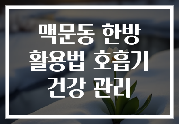 맥문동 한방 활용법 호흡기 건강 관리