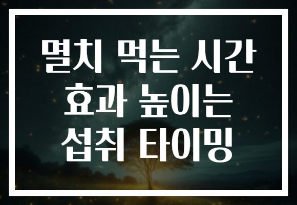 멸치 먹는 시간 효과 높이는 섭취 타이밍