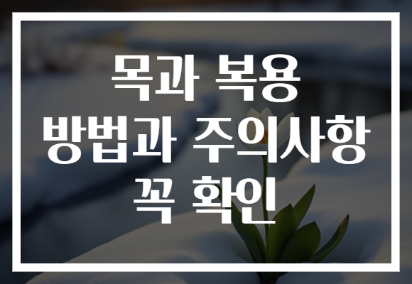목과 복용 방법과 주의사항 꼭 확인