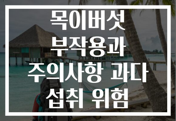 목이버섯 부작용과 주의사항 과다 섭취 위험