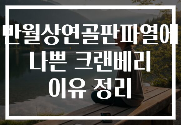 반월상연골판파열에 나쁜 크랜베리 이유 정리