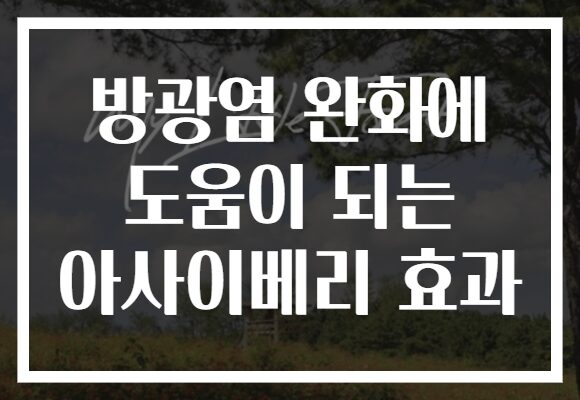 방광염 완화에 도움이 되는 아사이베리 효과