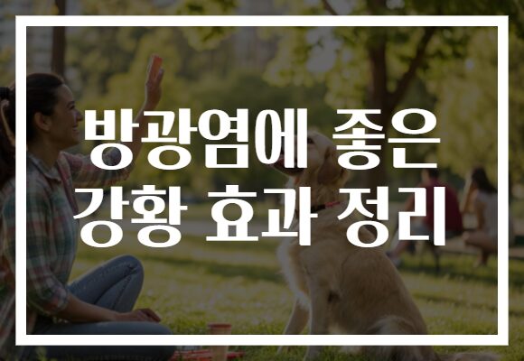 방광염에 좋은 강황 효과 정리