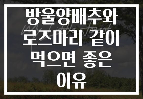 방울양배추와 로즈마리 같이 먹으면 좋은 이유